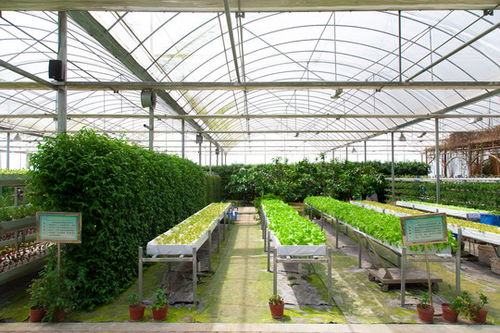 紫菜蛋花湯 中式簡約之味