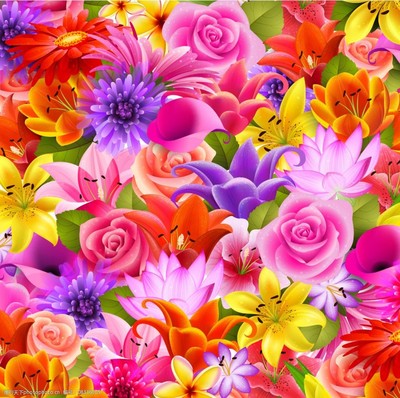 花卉背景圖片的養護管理工程 打造持久美觀的色彩世界