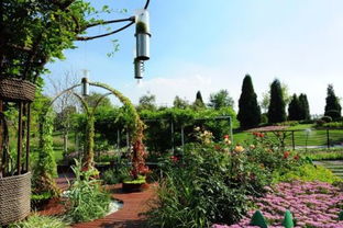 園林管理 規(guī)劃、施工與維護(hù)的綜合性藝術(shù)